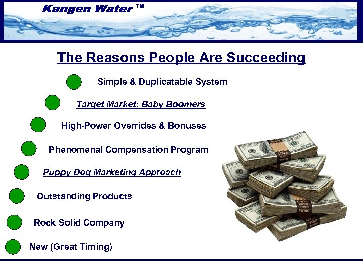 The Reasons People Are Succeeding Simple & Duplicatable System Target Market: Baby Boomers High-Power