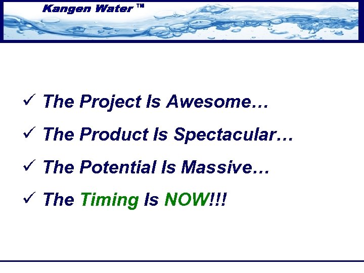 ü The Project Is Awesome… ü The Product Is Spectacular… ü The Potential Is