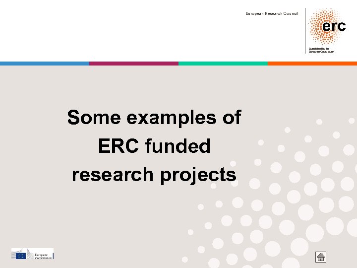 European Research Council Established by the European Commission Some examples of ERC funded research