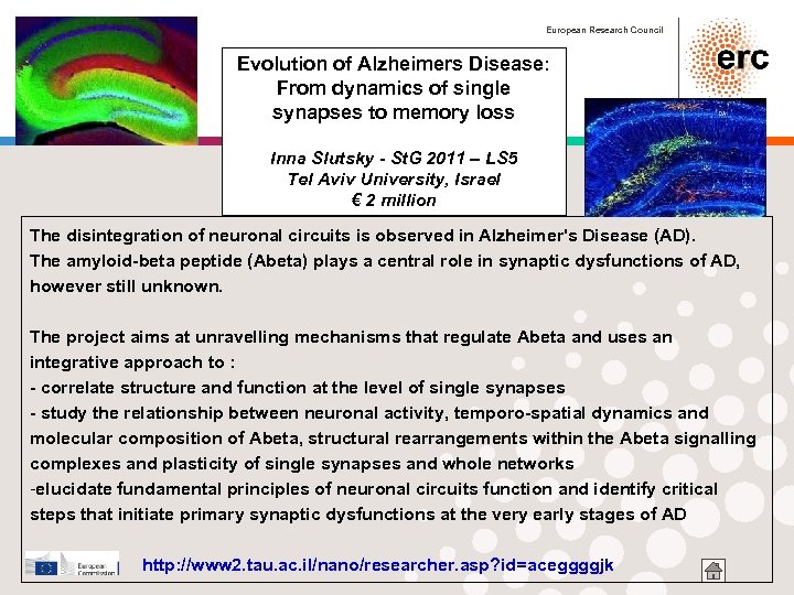 European Research Council Evolution of Alzheimers Disease: From dynamics of single synapses to memory