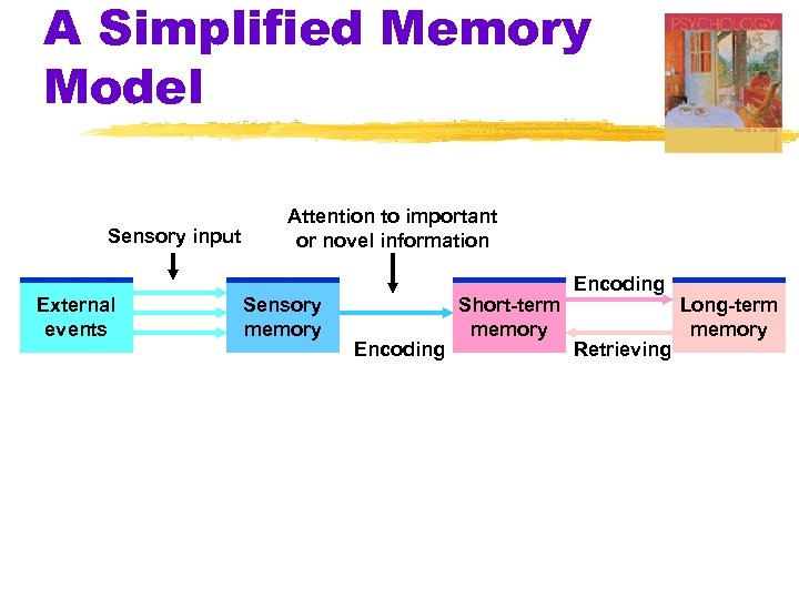 A Simplified Memory Model Sensory input External events Attention to important or novel information