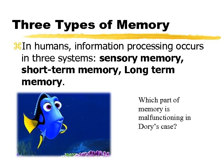 Three Types of Memory z. In humans, information processing occurs in three systems: sensory