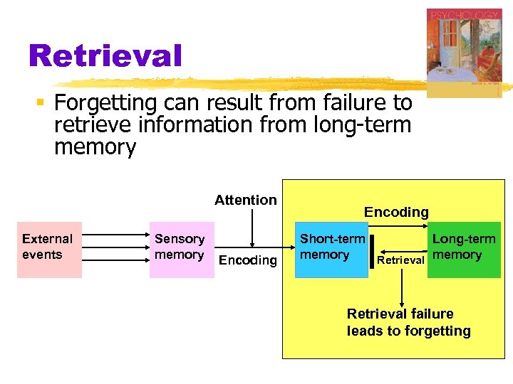 Retrieval § Forgetting can result from failure to retrieve information from long-term memory Attention
