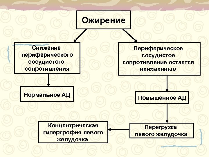 Ожирение Снижение периферического сосудистого сопротивления Нормальное АД Концентрическая гипертрофия левого желудочка Периферическое сосудистое сопротивление