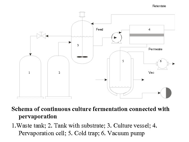 Retentate Feed 4 3 Permeate 5 1 2 6 Vac Schema of continuous culture