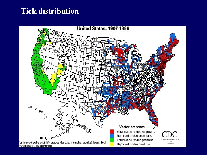 Tick distribution 