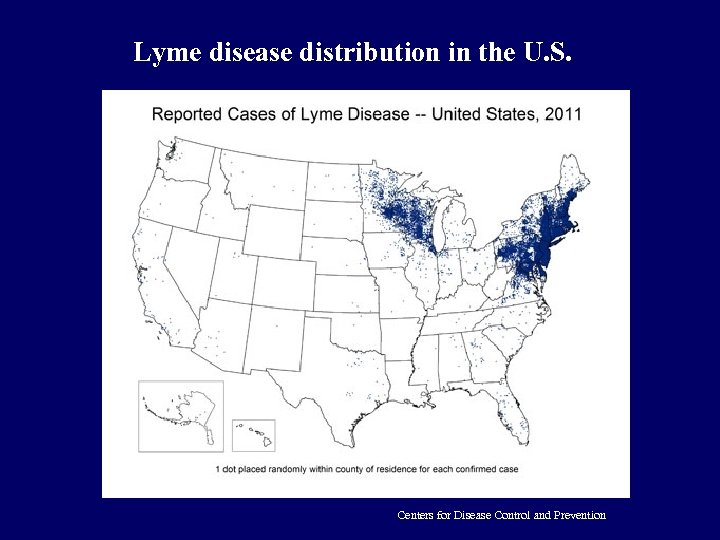 Lyme disease distribution in the U. S. Centers for Disease Control and Prevention 