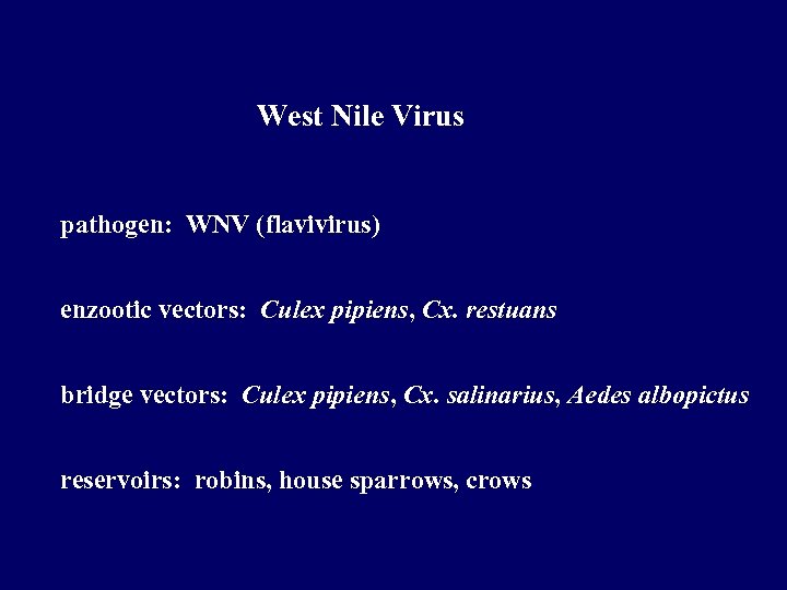 West Nile Virus pathogen: WNV (flavivirus) enzootic vectors: Culex pipiens, Cx. restuans bridge vectors: