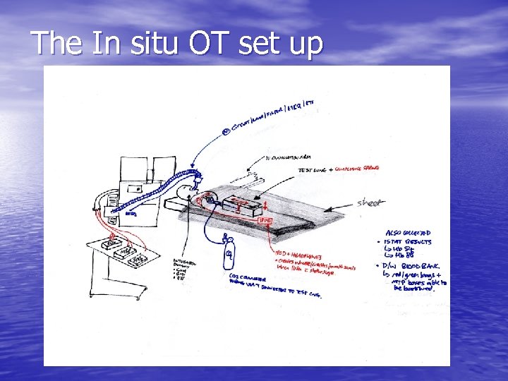 The In situ OT set up 