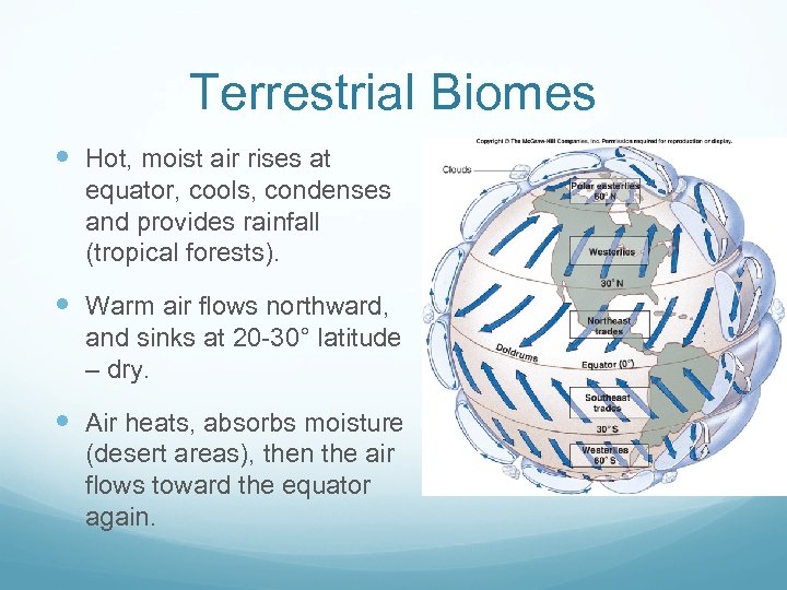 Terrestrial Biomes Hot, moist air rises at equator, cools, condenses and provides rainfall (tropical