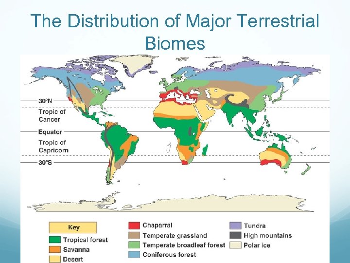 The Distribution of Major Terrestrial Biomes 