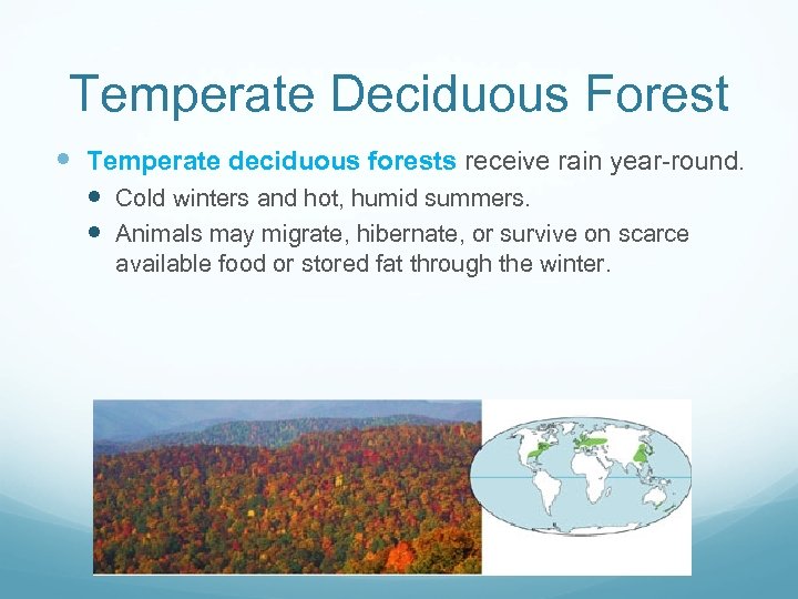 Temperate Deciduous Forest Temperate deciduous forests receive rain year-round. Cold winters and hot, humid