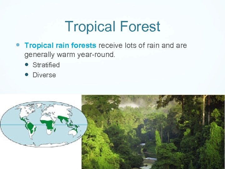 Tropical Forest Tropical rain forests receive lots of rain and are generally warm year-round.