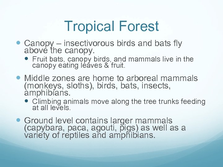 Tropical Forest Canopy – insectivorous birds and bats fly above the canopy. Fruit bats,