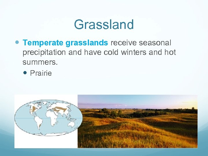 Grassland Temperate grasslands receive seasonal precipitation and have cold winters and hot summers. Prairie