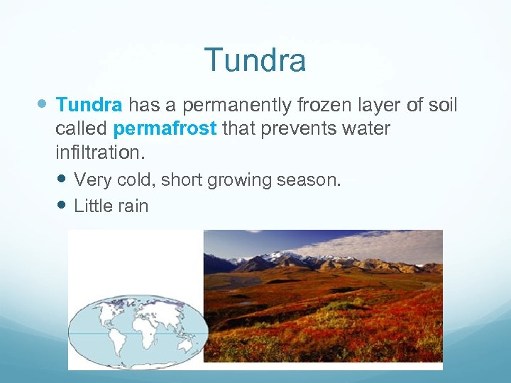 Tundra has a permanently frozen layer of soil called permafrost that prevents water infiltration.