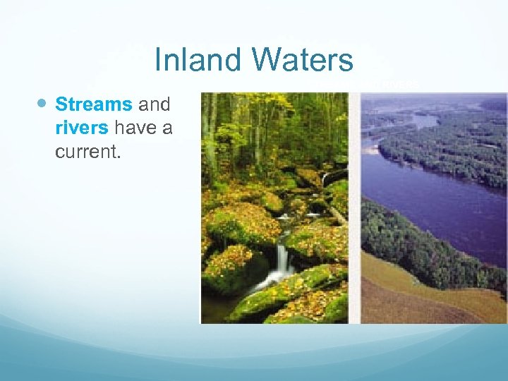 Inland Waters STREAMS AND RIVERS Streams and rivers have a current. 