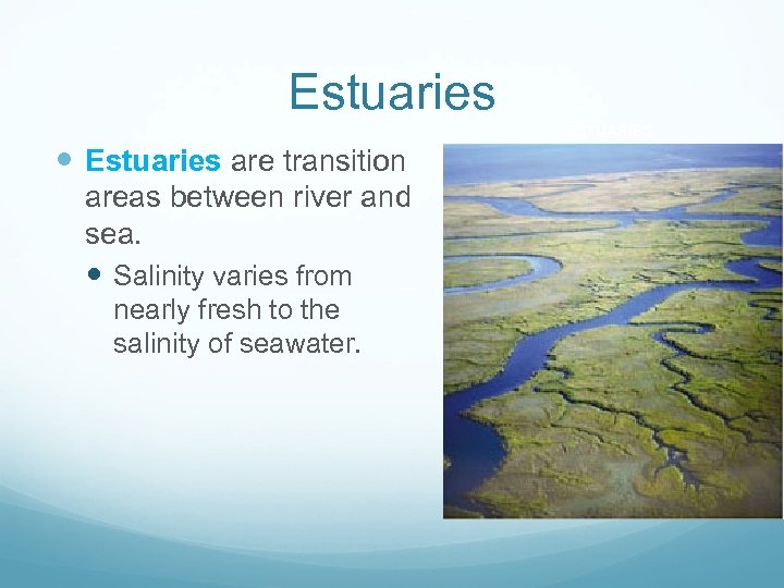 Estuaries ESTUARIES Estuaries are transition areas between river and sea. Salinity varies from nearly