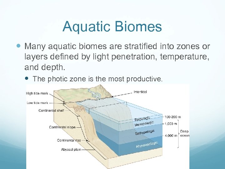 Aquatic Biomes Many aquatic biomes are stratified into zones or layers defined by light