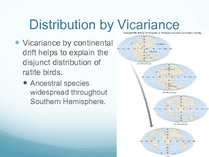 Distribution by Vicariance by continental drift helps to explain the disjunct distribution of ratite