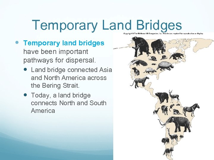 Temporary Land Bridges Temporary land bridges have been important pathways for dispersal. Land bridge