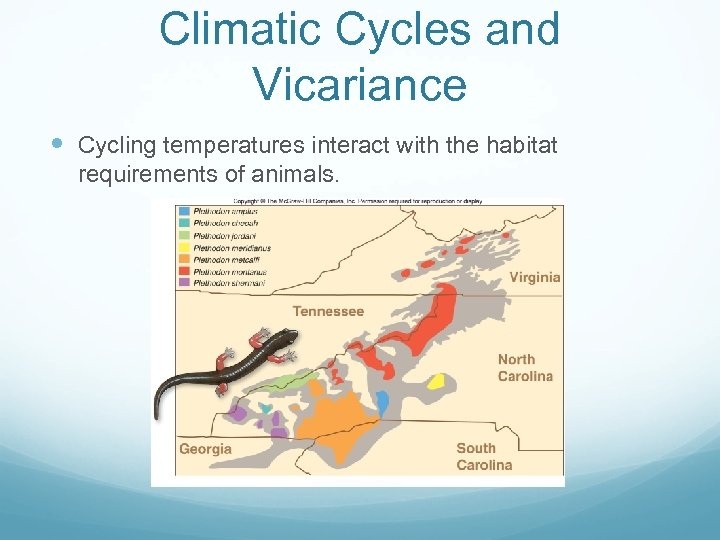 Climatic Cycles and Vicariance Cycling temperatures interact with the habitat requirements of animals. 