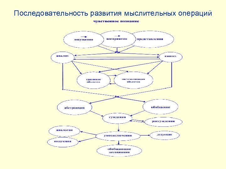 Последовательность развития мыслительных операций 