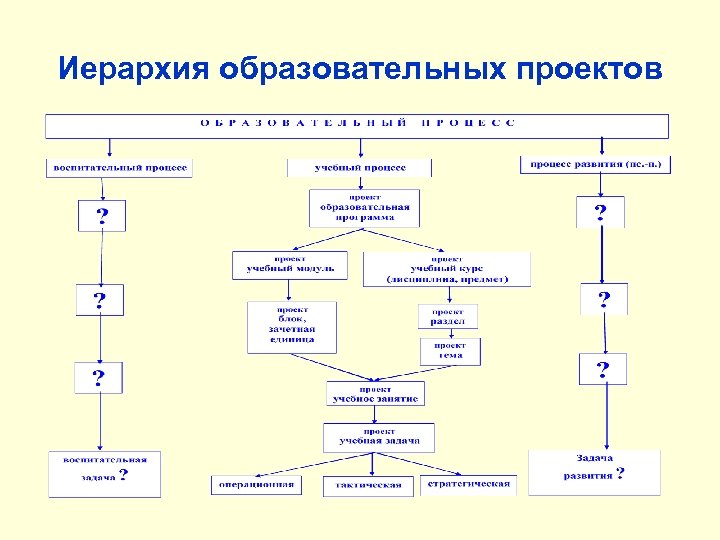 Иерархия образовательных проектов 