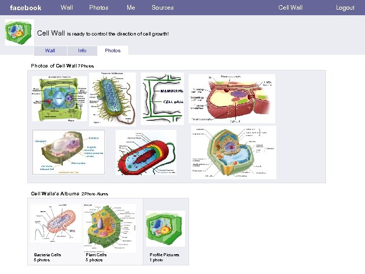 facebook Wall Photos Me Sources Cell Wall is ready to control the direction of