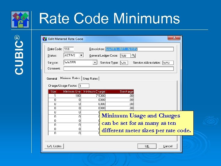 CUBIC® Rate Code Minimums Minimum Usage and Charges can be set for as many