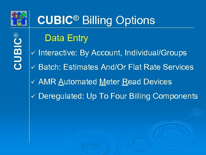 CUBIC® Billing Options Data Entry Interactive: By Account, Individual/Groups Batch: Estimates And/Or Flat Rate