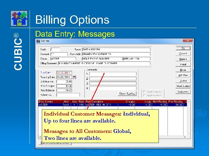 CUBIC® Billing Options Data Entry: Messages Individual Customer Messages: Individual, Up to four lines