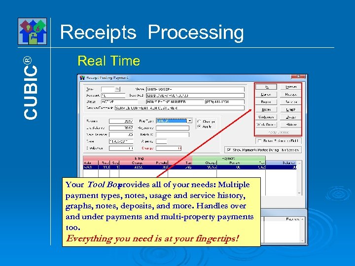 CUBIC® Receipts Processing Real Time Your Tool Box provides all of your needs: Multiple