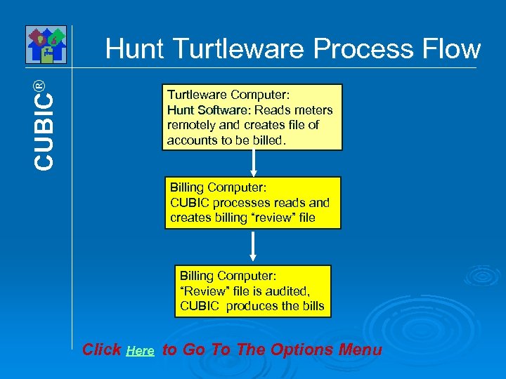 CUBIC® Hunt Turtleware Process Flow Turtleware Computer: Hunt Software: Reads meters remotely and creates