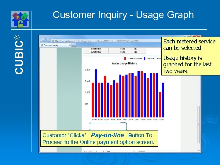 CUBIC® Customer Inquiry - Usage Graph Each metered service can be selected. Usage history