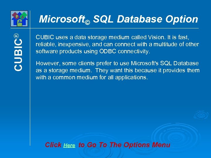 CUBIC® Microsoft© SQL Database Option CUBIC uses a data storage medium called Vision. It