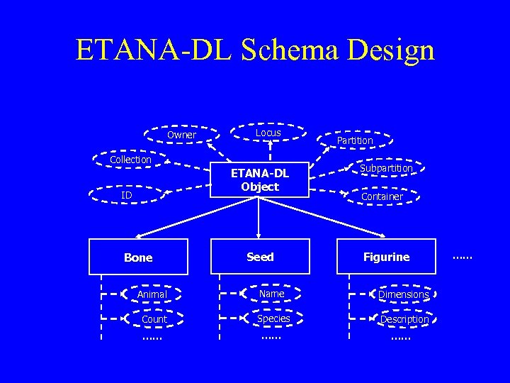 ETANA-DL Schema Design Owner Locus Collection Partition ETANA-DL Object ID Bone Subpartition Seed Figurine