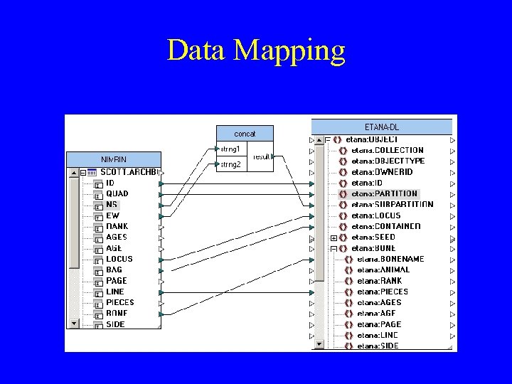 Data Mapping 