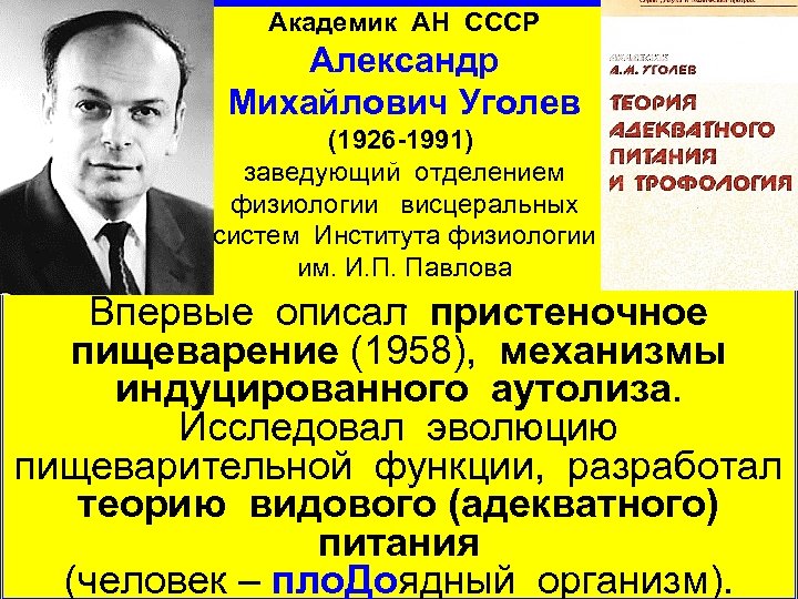 Академик АН СССР Александр Михайлович Уголев (1926 1991) заведующий отделением физиологии висцеральных систем Института