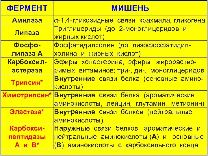 ФЕРМЕНТ Амилаза МИШЕНЬ α 1, 4 гликозидные связи крахмала, гликогена Триглицериды (до 2 моноглицеридов