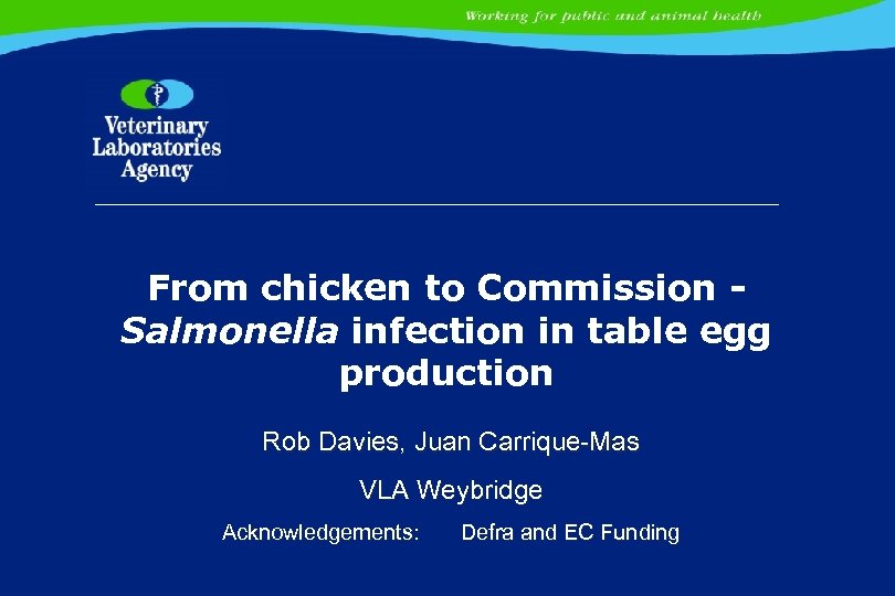 From chicken to Commission Salmonella infection in table egg production Rob Davies, Juan Carrique-Mas