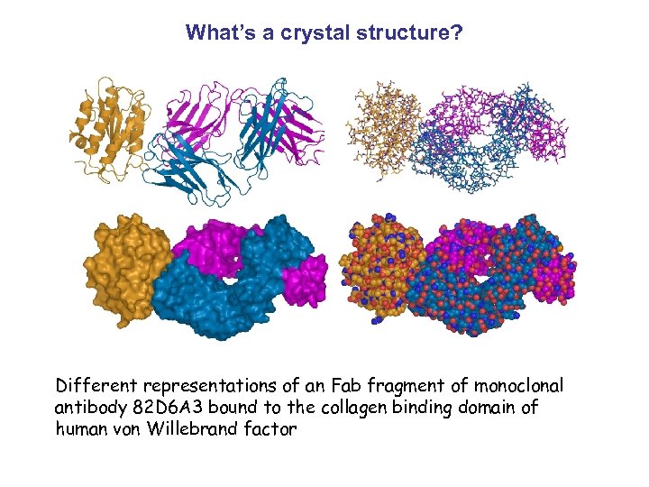 What’s a crystal structure? Different representations of an Fab fragment of monoclonal antibody 82