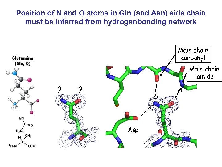 Position of N and O atoms in Gln (and Asn) side chain must be