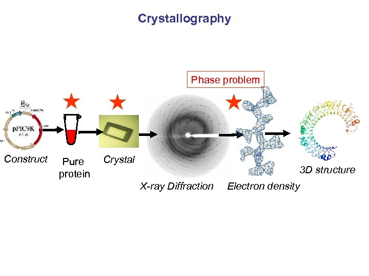 Crystallography Phase problem Construct Pure protein Crystal 3 D structure X-ray Diffraction Electron density