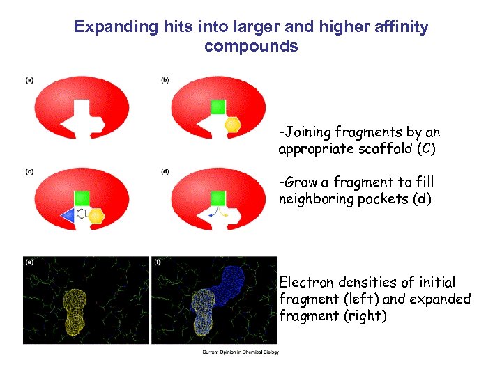 Expanding hits into larger and higher affinity compounds -Joining fragments by an appropriate scaffold