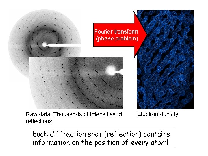 Fourier transform (phase problem) Raw data: Thousands of intensities of reflections Electron density Each