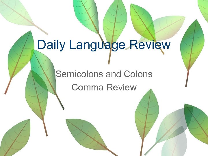 Daily Language Review Semicolons and Colons Comma Review 