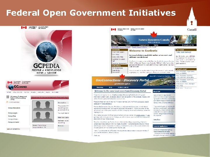 Federal Open Government Initiatives 
