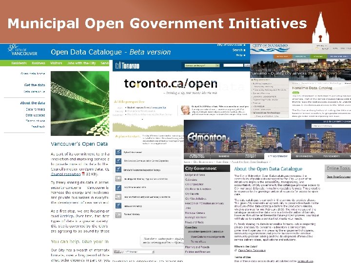 Municipal Open Government Initiatives 