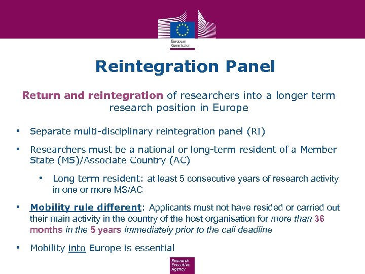 Reintegration Panel Return and reintegration of researchers into a longer term research position in